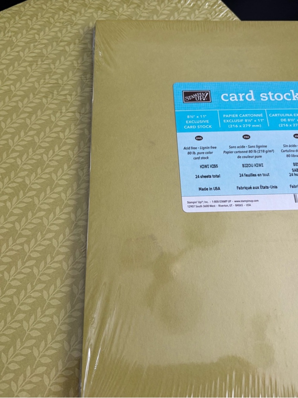 Stampin' Up! “Walk in the Park” and Kiwi Kiss paper